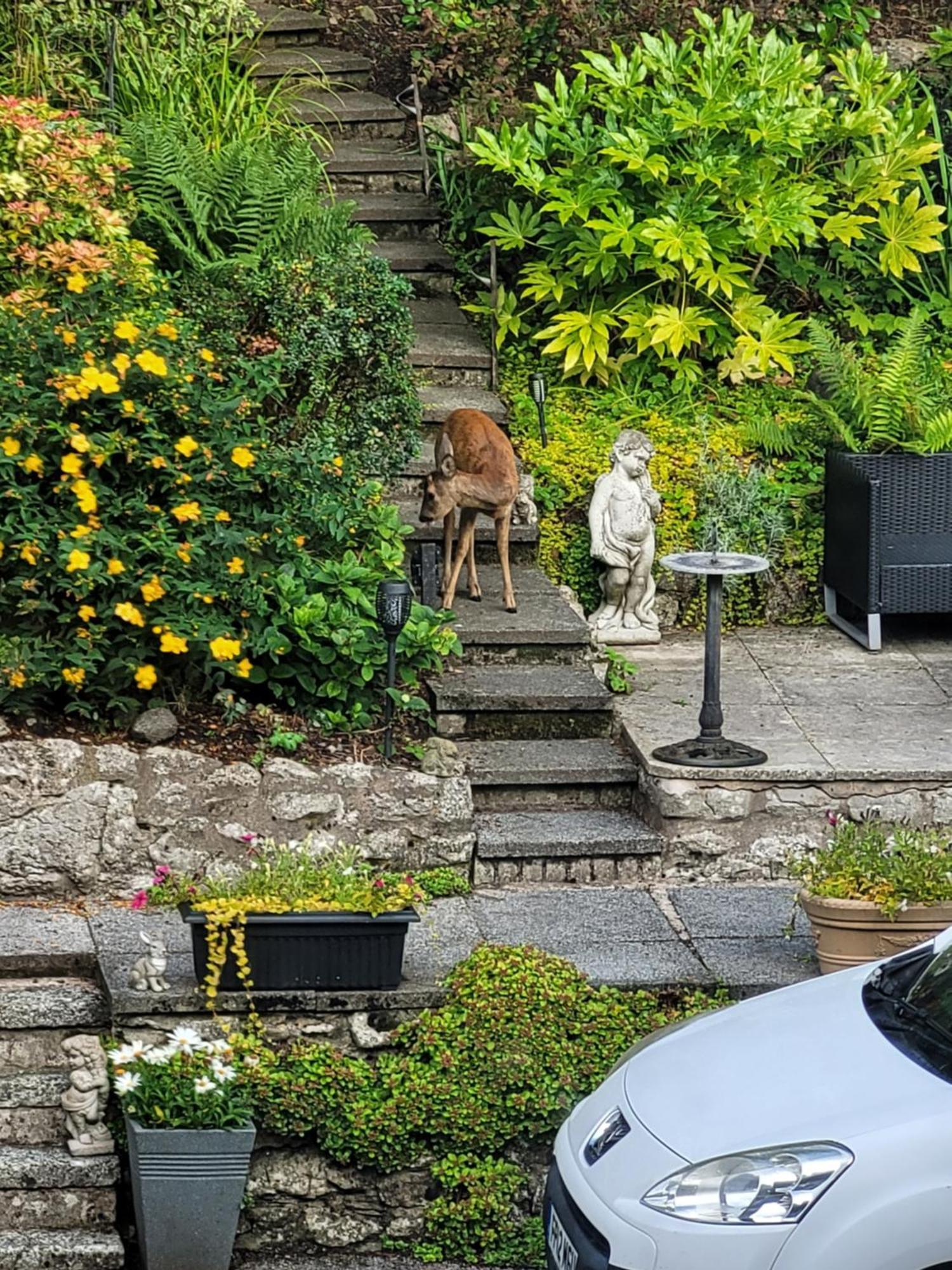 Elton Guest House Grange-over-Sands Exterior photo